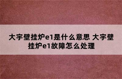 大宇壁挂炉e1是什么意思 大宇壁挂炉e1故障怎么处理